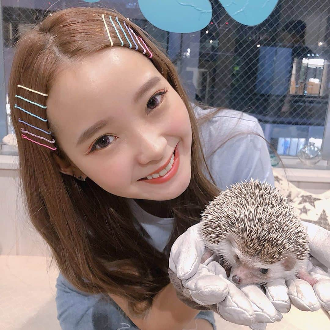 mimさんのインスタグラム写真 - (mimInstagram)「原宿にある動物さんたちと触れ合えるとこに行ってきたよ！ ハリネズミ、カワウソ、チンチラ、ウサギちゃんなどと触れあえました〜 カワウソカフェHAPPY原宿テラス店ってとこで遊んだよ！癒された  #me#photo#instagood#followme#cute#friend」9月17日 22時48分 - mim_11_11