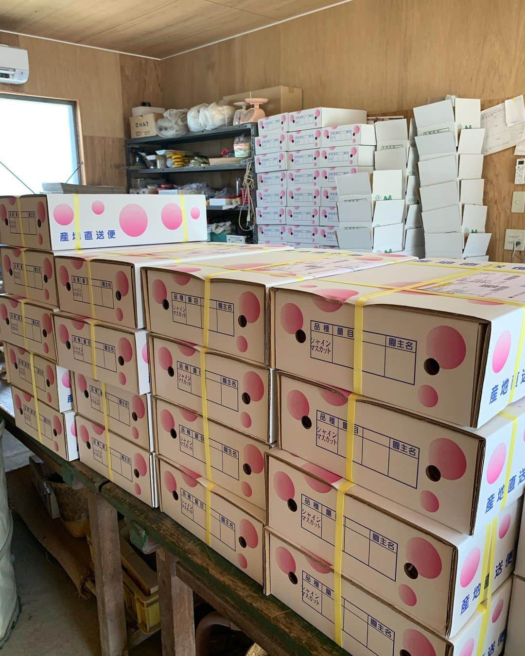 のインスタグラム：「ようやくきょうから宅配がスタート。 ですが、台風の影響で千葉県内の配達状況が不安定。ネットに掲載してあることと担当ドライバーの言うことが違って、千葉のセンターに問い合わせをしたり、クール便で対応できるか確認したり、請求書や伝票も書き換えたり、貼り替えたり、時間なくて営業所まで持って行ったり、、、とバタバタでした。 まだ停電や断水が続いているところもあり、明日も雨予報のところもあるようで心配です。1日でも早く復旧しますように。 #山梨 #南アルプス市 #農作業 #農業女子 #やまなし農業女子 #ぶどう #葡萄 #収穫 #宅配 #シャインマスカット  #やまなし大使 #浅利そのみ」