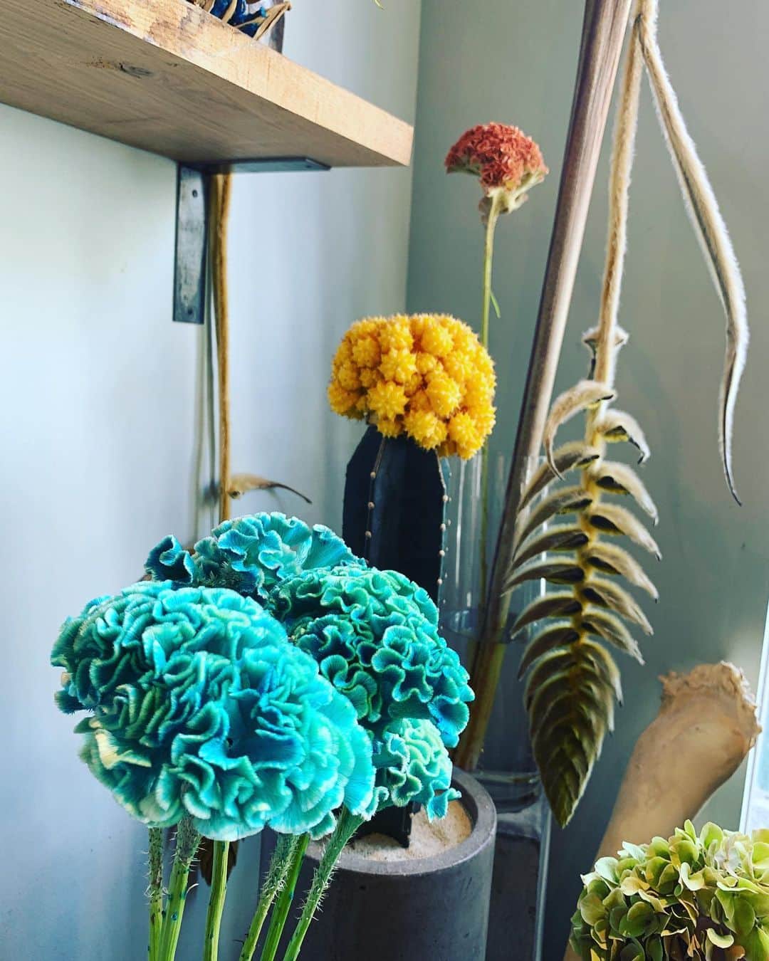 五月女ケイ子のグルメインスタ