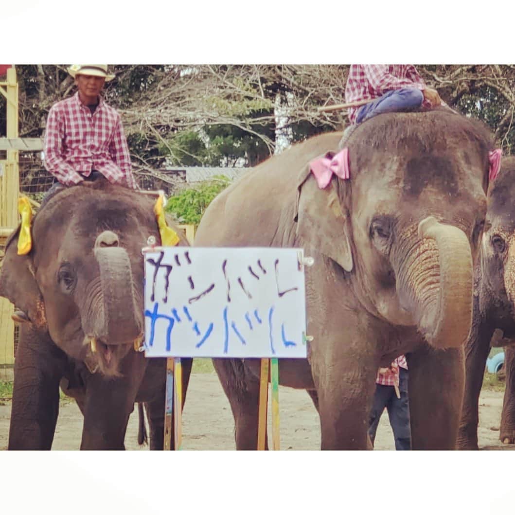 紗栄子のグルメインスタ