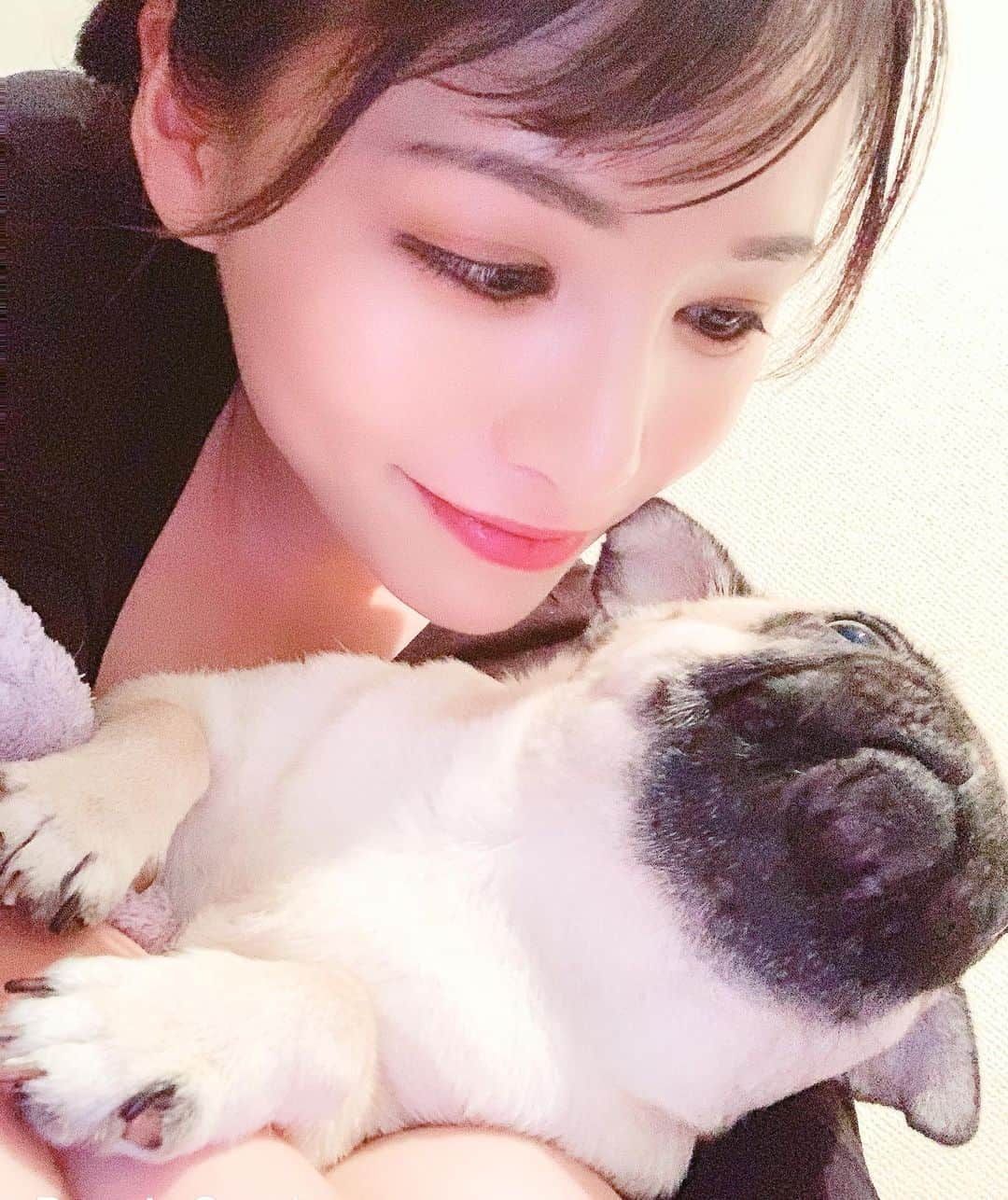 宮崎まこさんのインスタグラム写真 - (宮崎まこInstagram)「理由は無いけどなんか嫌！ そんな時は 物事に対して不可解な矛盾に頭が納得できないから 例えばこれはひまわりですってコメント書いてチューリップの写真アップしてたら『なんで？』の違和感🌷 . そこに変なものを感じるだけでそれはそれ、そこにあるただ一つの現実 . . へい！たまに私の頭の中こんな事を考えて理由を作りたがるがそれにも意味が無いしあるから笑お🤫 心を言葉にできる人は 簡単じゃないから尊敬しちゃう☆ こんな変な事書いても読む人が世界でほぼ居ないってことも 十分理解してるし、中には読んでくれる人もいるから、それはとても嬉しいってこと .  さんきゅー🙋‍♀️ . . #黒パグ #犬バカ #pug #pugpuppy #pugsofinstagram #blackpug #puglife  #doglife #パグスタグラム #ブサカワ #鼻ぺちゃ#釣りガール  #パグ #doglife🐾 #多頭飼い #黒髪 #寝顔 #寝顔天使 #イビキ #添い寝 #寝相アート #寝子 #睡眠 #mhz #ねこ鍋 #猫 #犬 #愛犬」9月17日 14時36分 - makomiyazaki