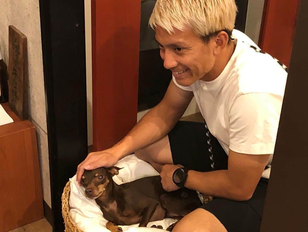 田中亜土夢さんのインスタグラム写真 - (田中亜土夢Instagram)「チャリティー猫トートバッグはおかげさまで完売でした🐾 購入して頂いた皆様ご協力ありがとうございました♪ 原価を除いた金額を飼い主のいない猫の不妊去勢費助成事業への寄付とします。 2019.9.15  #チャリティー #ねこ #猫 #ネコ #猫すたぐらむ  #ねこすたぐらむ  #cat #catstagram  #水墨画 #chineseink」9月17日 14時50分 - atom_tanaka_official