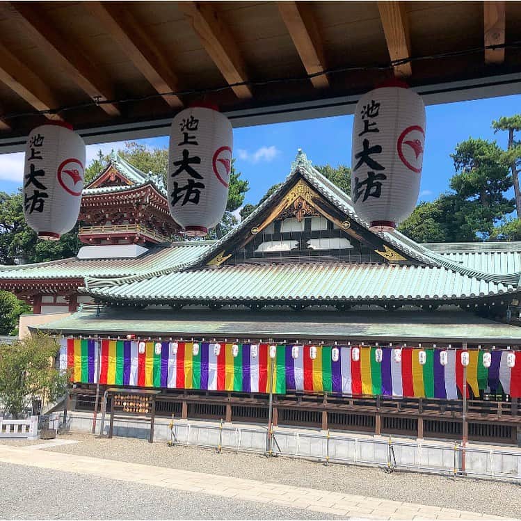 榊山敬代のインスタグラム：「🙏… ・  今日は個展会場で お世話になります  #池上大坊本行寺 へ  お空はピカピカと 清々しい気配にて 背すじがのびます  デザイン作業におわれてて 寝不足三連休でしたけれど お寺でリセット個展モード  切り替えるの巻  かえりみち ウエマツで  絵巻物受け取りに ギリギリ個展準備  進行中 ・ ・ ・ ・ 🎐… ・ 個展のご案内  榊山敬代 日本画展 「浄」Kiyoshi 泥水に咲く蓮のように  会期：令和元年 9月21日(土)／22日(日)／23日(月・祝) 会場：池上大坊本行寺客殿１階　牡丹／桔梗之間  開館時間／午前10時から午後3時　 作家在廊時間／全日午後12時から15時 入場料／無料  アクセス／東京都大田区池上2-10-5（都営浅草線西馬込駅・東急池上線池上駅より、いずれも徒歩10分） http://www.hongyozi.or.jp/ ・ ・ ・  この度は 東京は池上大坊本行寺にて 蓮をモチーフに 福島県いわき市のお寺より ご依頼いただき制作しました作品をはじめ いわき市のお寺からインスピレーションを いただき 仏教の説法のひとコマであります 八正道をテーマにしました新作を お披露目させていただきます  三日間と短い会期ではございますが お彼岸の季節に 情緒あるお寺の景観の中で 日本画とこころ浄らかなひとときへ ご案内できればとおもいます  本行寺から本門寺へと続く境内では都心を忘れるような壮観な眺めもございます 展示の他にも見所豊かなお寺ですのでこの機会にゆっくりとご堪能ください  個展開催につきましてのこころざしや 新作に対しての姿勢などはブログなど 少しずつ更新していきたくおもいます  掲載作品 八正道〈弐〉正しい心を灯して生きるとき 〈正命・正精進・正念・正定 図〉 制作 平成31年／絹本・彩色 ・ ・ ---------------------------------------- ・ ・ ・ #晴天 #Sky #bluesky  #大田区 #池上 #お寺 #temple #Japan #池上大坊  #個展会場 #お世話になります #japanese #architecture #view #仏教 #仏教美術 #建築 #日本画家 の #外出こんなもん #清々しい」