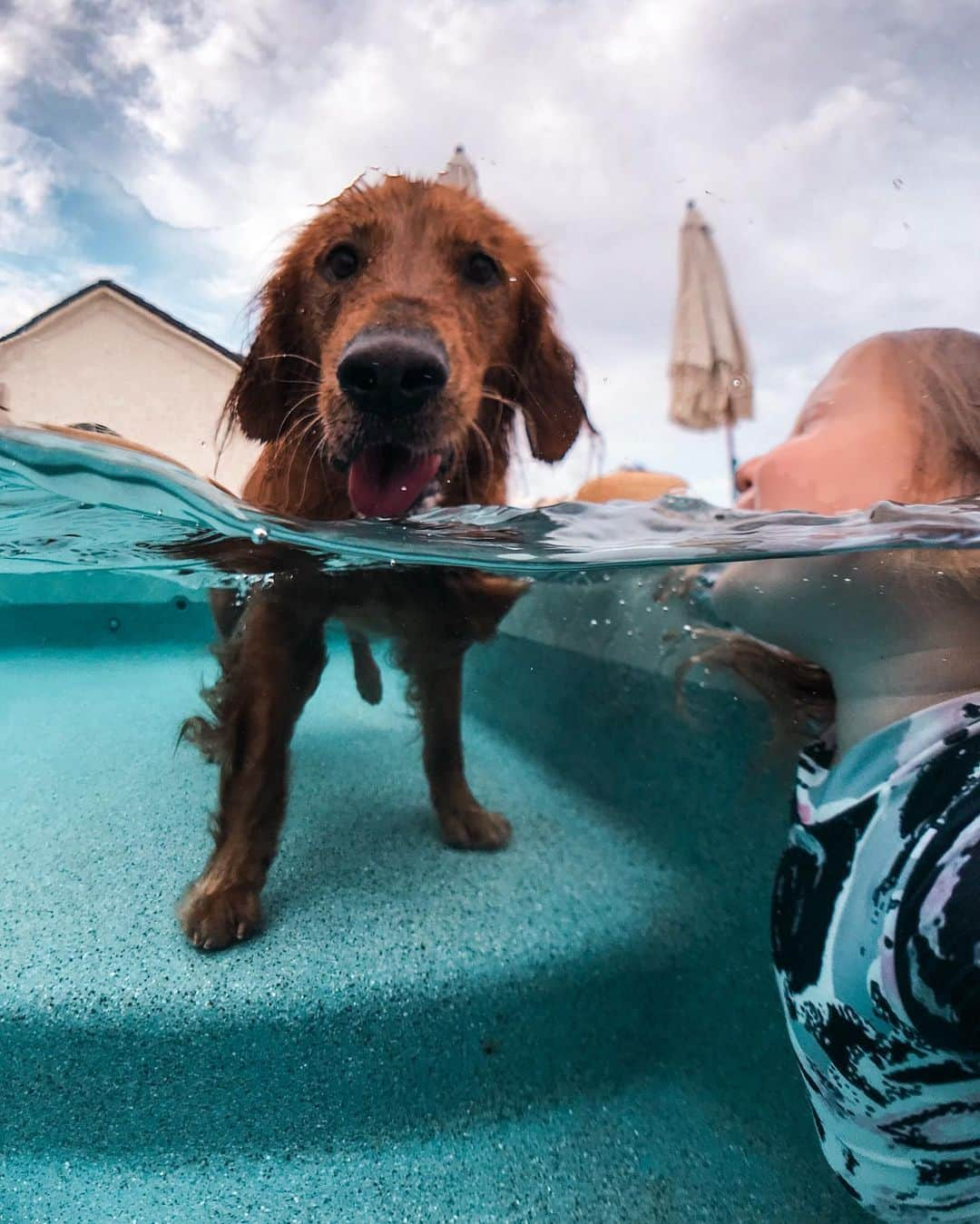 Amber Fillerup Clarkさんのインスタグラム写真 - (Amber Fillerup ClarkInstagram)「Pic #1 is what I rarely look like by our pool 😅 usually it’s soaking wet hair and goggles doing dolphin dives and cannon balls with the kids. (Most) of the rest of the pics are underwater pictures taken by Atticus or Rosie 💓 I doubt many people are still awake but I feel like posting anyways 💁🏼‍♀️」9月17日 15時26分 - amberfillerup