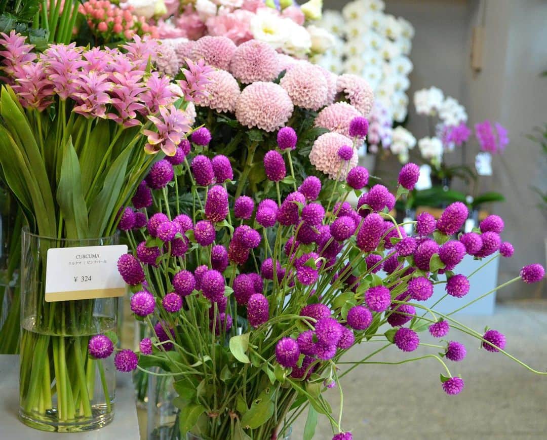 のインスタグラム：「本日の青山店の花をご紹介します。 鮮やかなピンク色がひときわ目を引く、千日紅（せんにちこう）。ドライになっても花色が残るため、切り花として楽しんだ後はドライフラワーにしても素敵です。 左側の珍しい形をした花は、タイ原産でウコンの仲間のクルクマ。初夏から秋にかけて花を咲かせます。 --- #aoyamahanamo #flower #flowers #flowershop #florist #tokyo #aoyama #omotesando #webstagram #flowerstagram #instagood #followme #花 #花屋 #フラワー #マクロ萌え部 #ザ花部 #花のある暮らし #花のある生活 #花育 #東京 #青山 #表参道  #クルクマ #千日紅 #ピンクの花 #秋の花 #フラワーギフト #flowergift」