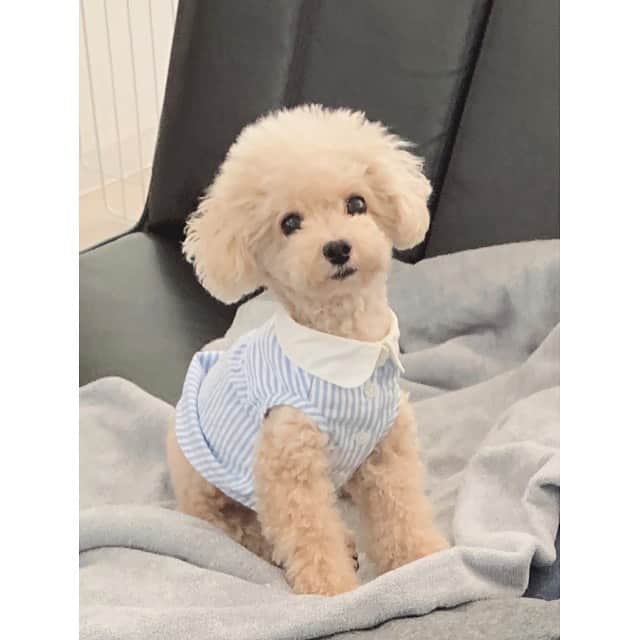 mizuのインスタグラム：「寝起き•ᴥ•」