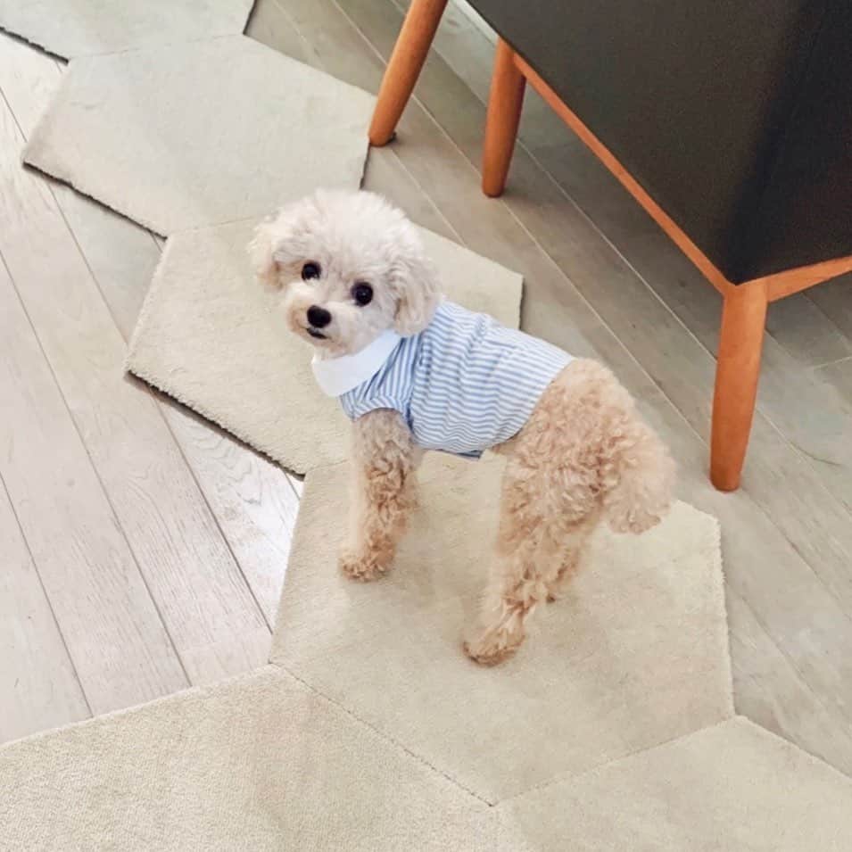 mizuのインスタグラム：「5年前くらいに作った服がまだ着れた☺︎ということがもうかわいい。」