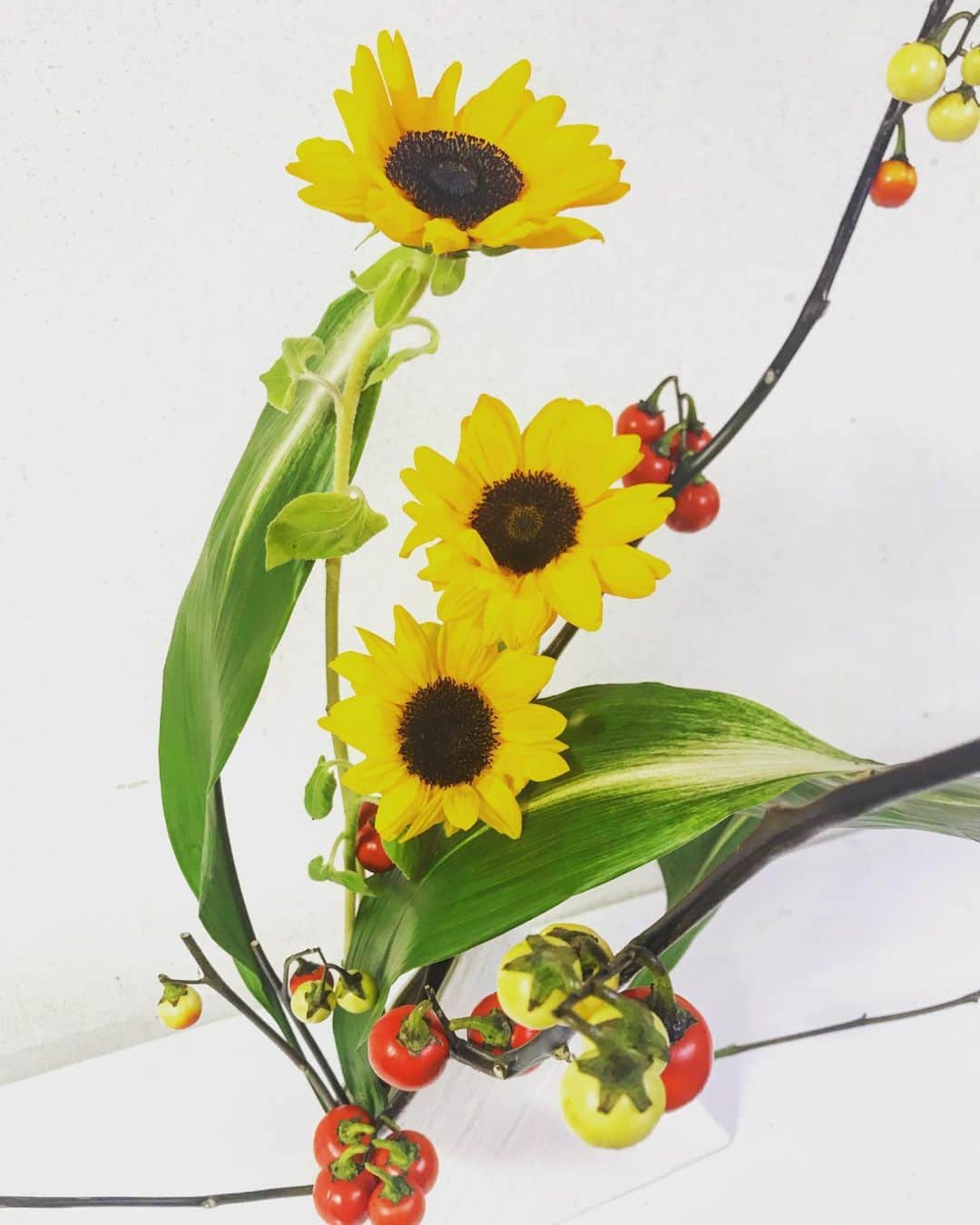 竹村優香のインスタグラム：「ひまわりと花ナスを生けました🌼✨ 夏から秋への移り変わりを感じる組み合わせ☺️！ #いけばな #草月流」