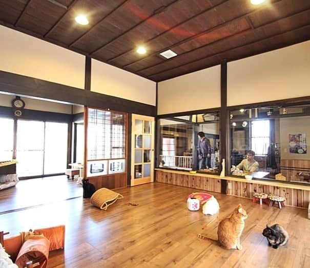 ☘️酸性白土 深呼吸?建材メーカーです☘️のグルメインスタ