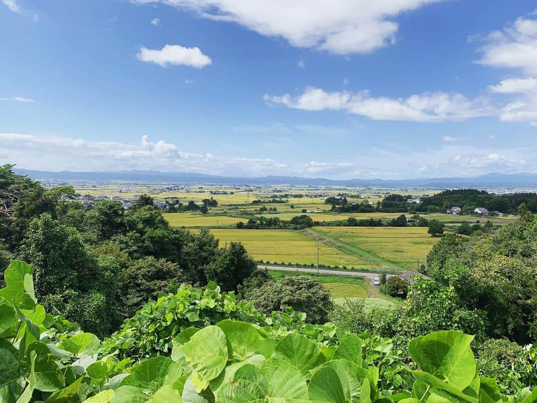 Rediscover Fukushimaのグルメインスタ