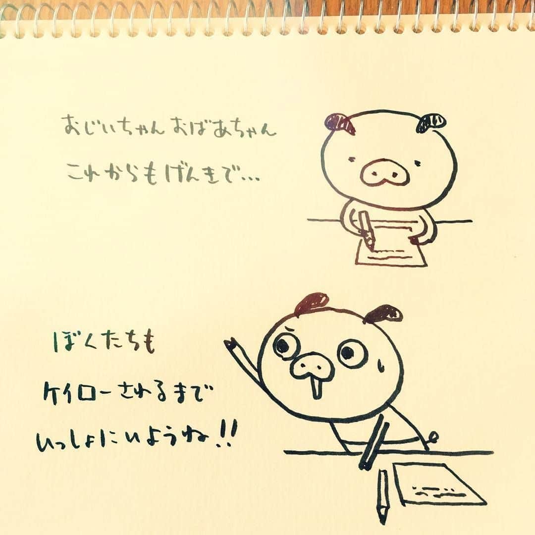 パンパカパンツ公式のインスタグラム