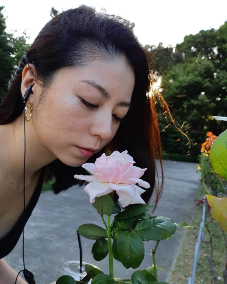 黒坂真美さんのインスタグラム写真 - (黒坂真美Instagram)「🌹🌞☕🎵💛私の好きなもの . . Things I Like . . #そして #今から #運動する！ #黒坂真美 #kurosakamami #rose #🌹 #🌞 #☕ #🎵 #tokyo #japan🇯🇵」9月17日 17時32分 - mamikurosaka_official