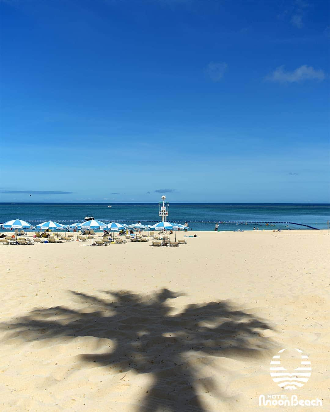 ホテルムーンビーチさんのインスタグラム写真 - (ホテルムーンビーチInstagram)「8月29日、朝のビーチ  Morning Beach  29Aug2019 #沖縄 #恩納村 #沖縄ホテル #沖縄リゾートホテル #沖縄旅行 #沖縄ビーチ #沖縄プール #インフィニティプール #沖縄サンセット #沖縄好き #夕焼け #夕陽 #ホテルムーンビーチ #ムーンビーチ #ムーンビーチホテル #okinawa #okinawabeach #okinawahotel #okinawaresorthotel #okinawatrip #okinawapool #okinawasunset #okinawalikes #okinawalabo #okinawa_life #infinitypool #moonbeach #moonbeachhotel #docomomo #japan」9月17日 18時05分 - themoonbeachmuseumresort