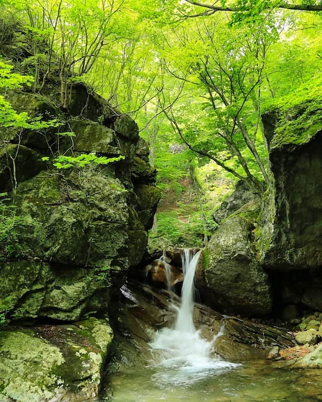 福島県さんのインスタグラム写真 - (福島県Instagram)「来て！ 遠藤ヶ滝 渓谷沿いの遊歩道を登ること約30分、木々と大岩に囲まれた神秘的な滝です。昔、僧侶である文覚上人(遠藤盛遠)が荒行を修めた場所と言われています。遊歩道入口にある遠藤ヶ滝不動尊では春と秋に例大祭が行われます。 #大玉村 #遠藤ヶ滝 #滝 #福島 #ふくしま #ふくしまからはじめよう #来て  #futurefromfukushima #fukushima #traveljapan #japantrip #explorejapan #japanadventures #japanholiday #beautifuldestinations #instatrip #art_of_japan #instagramjapan #japan_of_insta」9月17日 18時07分 - realize_fukushima