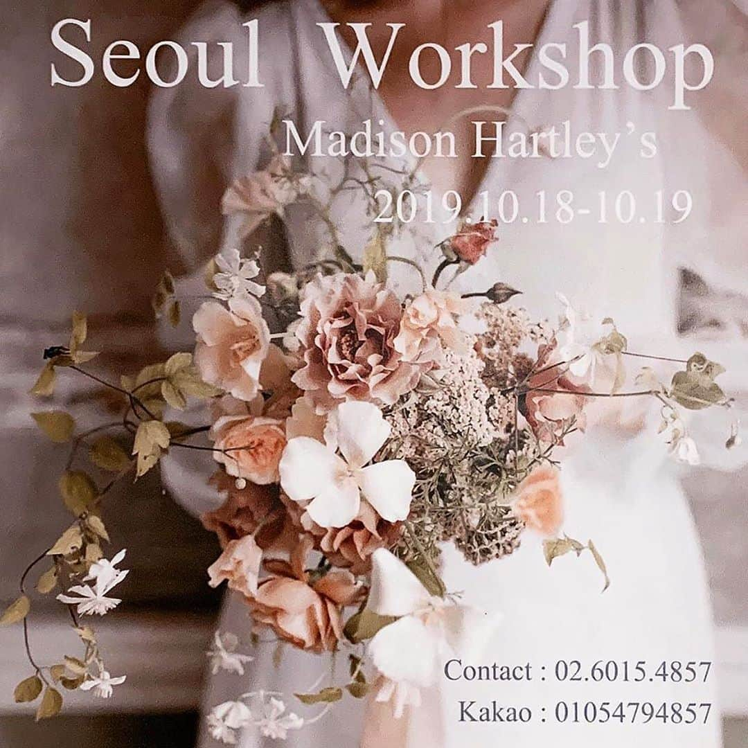 플로리스트 이주연 florist Lee Ju Yeonさんのインスタグラム写真 - (플로리스트 이주연 florist Lee Ju YeonInstagram)「Seoul Workshop_💕 (hosted by botanique & vanessflower) @_botanique × @vanessflower . 보타니크와 바네스가 함께 준비한 플로리스트 'Madison'초청 워크샵 작년에진행했던 워크샵 많은분들이 좋아해주셔서  또 한번 준비했습니다 ^^ . ‘Madison Hartley’ @hart_floral  화가로서 성장했던 그녀는 색과 질감에 대한 지식과 자연에 대한 열정을 통합해  아티스트의 시각으로 꽃에 접근합니다. 그래서 메디슨의 모든 꽃 작업에서는 독특한 창조적 디자인과 감성을 찾아볼 수가 있지요. 그녀의 작품은 Martha Stewart Weddings 매거진과Brides 매거진에도 실렸습니다. . . . Madison 그녀의 작품들에 반해 직접 배워보기 위해 수업을 알아보던 중, 더 많은 분들과 그녀의 꽃을 배울 자리를 만들어 보는건 어떨까_ 하는 생각에 워크샵을 진행하게되었어요.  보타니크와 바네스의 두번째워크샵 준비인만큼 정말 많은 걸 고민하고 또 준비했어요🙏🏻 네추럴한 부케, 2가지의 센터피스를 배움과 동시에 자연주의 감성의 공간장식과 아치, 그리고 테이블스타일링 모든 걸 배워 볼 수 있는 이번 워크샵_ 침봉센터피스 데몬은 추가로 진행해주시니 좋은기회 놓치지 마세요💕 . 마지막날에는 매디슨 그리고 보타니크,바네스플라워와 함께 소소한 파티도 진행할 예정입니다😘 . 일시 : 2019.10.18-19 장소 : 강남구 역삼동 608-16 모집인원 : 12명(선착순모집) . 자세한 워크샵 문의✔️ Tel. 02-6015-4857, 01054794857 . . . #flower #flowerworkshop #플라워워크샵」9月17日 18時08分 - vanessflower