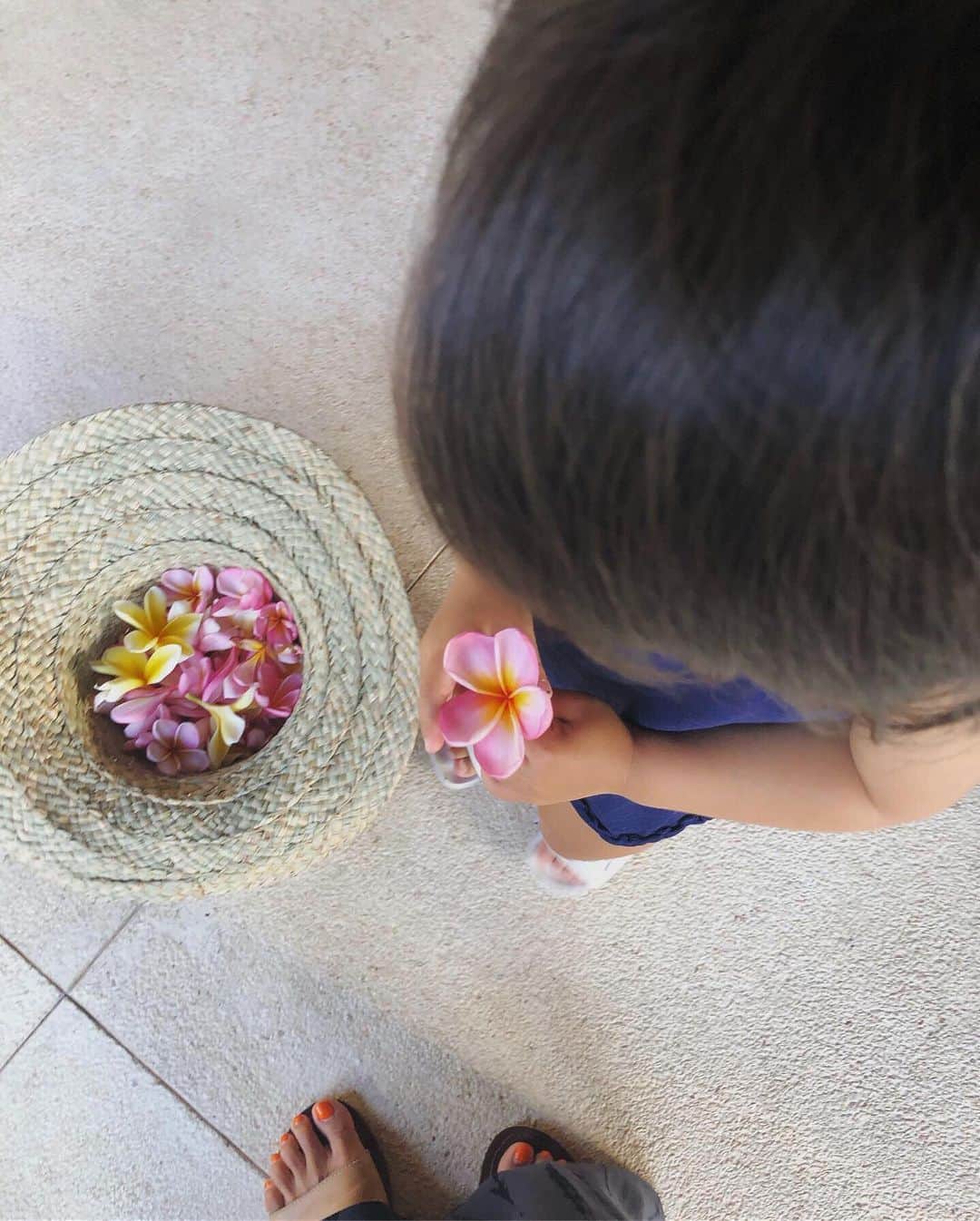 山中美智子さんのインスタグラム写真 - (山中美智子Instagram)「お花が沢山咲いていて 毎日拾ってくれたよ 🌿  はいどうぞ〜 ってみんなに渡していました 🦋  ちなみに ヤモリとカエルはめっちゃいる😂  きゃーっていいながらも 探してた👌🏾」9月17日 18時13分 - alexiastam1988