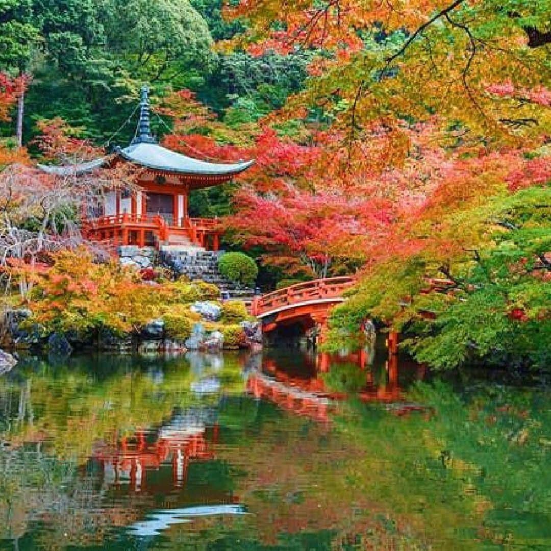 Lonely Planetのインスタグラム：「Ringed with spectacular mountain ranges on three sides, the #Kyoto Prefecture in #Japan is a hiker's dream – brimming with a network of forested alpine paths just begging to be explored. Tap our link in bio today to discover the top 5 hikes in Kyoto! ⛩️」