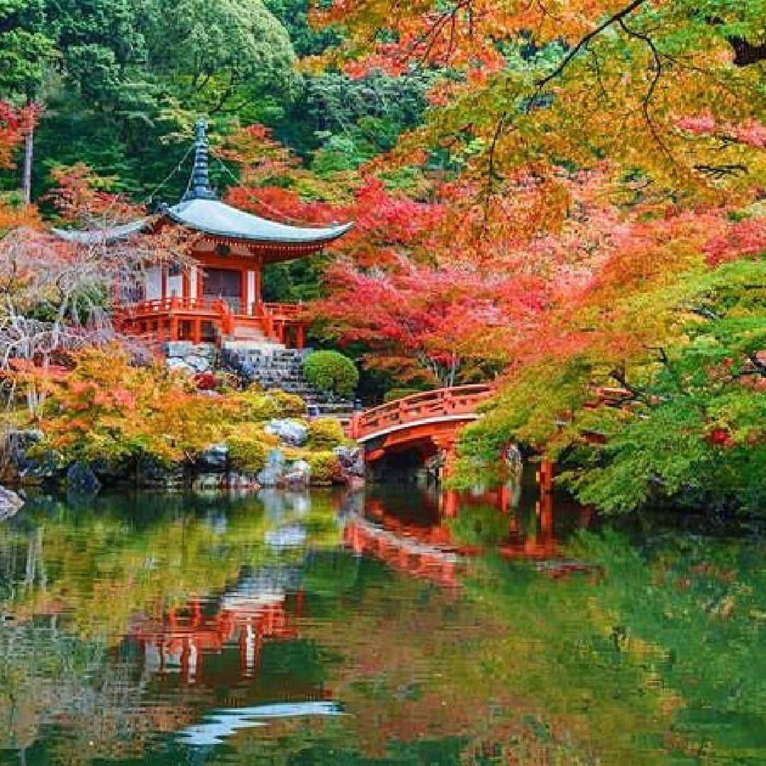 Lonely Planetさんのインスタグラム写真 - (Lonely PlanetInstagram)「Ringed with spectacular mountain ranges on three sides, the #Kyoto Prefecture in #Japan is a hiker's dream – brimming with a network of forested alpine paths just begging to be explored. Tap our link in bio today to discover the top 5 hikes in Kyoto! ⛩️」9月17日 18時46分 - lonelyplanet