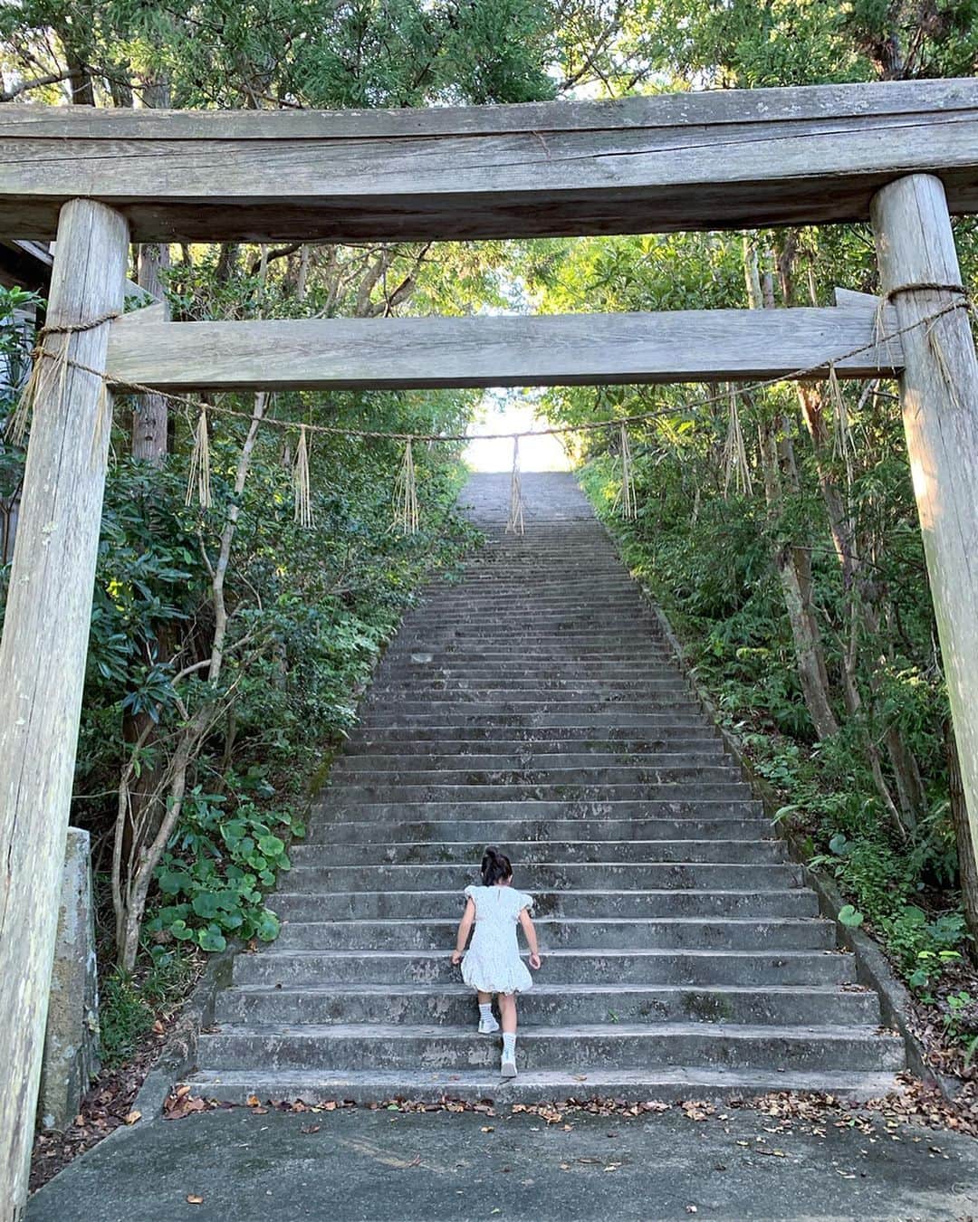 のインスタグラム：「❁︎ ㅤㅤㅤㅤㅤㅤㅤㅤㅤㅤㅤㅤㅤ 賢島にある#金刀比羅宮 ㅤㅤㅤㅤㅤㅤㅤㅤㅤㅤㅤㅤㅤ 海上の守り神として昭和5年に鎮座したと云われています ¨̮ ㅤㅤㅤㅤㅤㅤㅤㅤㅤㅤㅤㅤㅤ チビ達も一人で、100段ちょっとある階段を登りきりました✧︎ ㅤㅤㅤㅤㅤㅤㅤㅤㅤㅤㅤㅤㅤ 1枚目写真の鳥居を見るには、賢島駅南口から歩いていきます✩︎⡱ ㅤㅤㅤㅤㅤㅤㅤㅤㅤㅤㅤㅤㅤ 別ルートで、#志摩観光ホテル からも行けますよ♬ ホテルの3館を結ぶ、志摩の自然を感じれる散策道。 ㅤㅤㅤㅤㅤㅤㅤㅤㅤㅤㅤㅤㅤ 大きな看板は無いので、どこにあるのか分かりづらいですが…探検と思って探してみてください( •̀ᴗ•́ )و  ㅤㅤㅤㅤㅤㅤㅤㅤㅤㅤㅤㅤㅤ  ㅤㅤㅤㅤㅤㅤㅤㅤㅤㅤㅤㅤㅤ ㅤㅤㅤㅤㅤㅤㅤㅤㅤㅤㅤㅤㅤ  ㅤㅤㅤㅤㅤㅤㅤㅤㅤㅤㅤ ㅤㅤㅤㅤㅤㅤㅤㅤㅤㅤㅤㅤㅤ ㅤㅤㅤㅤㅤㅤㅤㅤㅤㅤㅤㅤㅤㅤㅤㅤㅤㅤㅤㅤㅤㅤㅤㅤㅤ  ㅤㅤㅤㅤㅤㅤㅤㅤㅤㅤㅤㅤㅤㅤㅤㅤㅤㅤㅤㅤㅤㅤㅤㅤ ㅤㅤㅤㅤㅤㅤㅤㅤㅤㅤㅤㅤㅤ  ㅤ  ㅤ  ㅤ ✧︎*⑅୨୧┈┈┈┈୨୧⑅* ❁︎⑅୨୧┈┈┈┈୨୧⑅✧︎*。 #三重#三重県#志摩市#伊勢志摩#志摩#賢島#賢島でみつけた#賢島駅#鳥居#伊勢志摩国立公園 #shimastagram#vistmie#vist_tokai#伊勢志摩アンバサダー#尾崎ななみ」