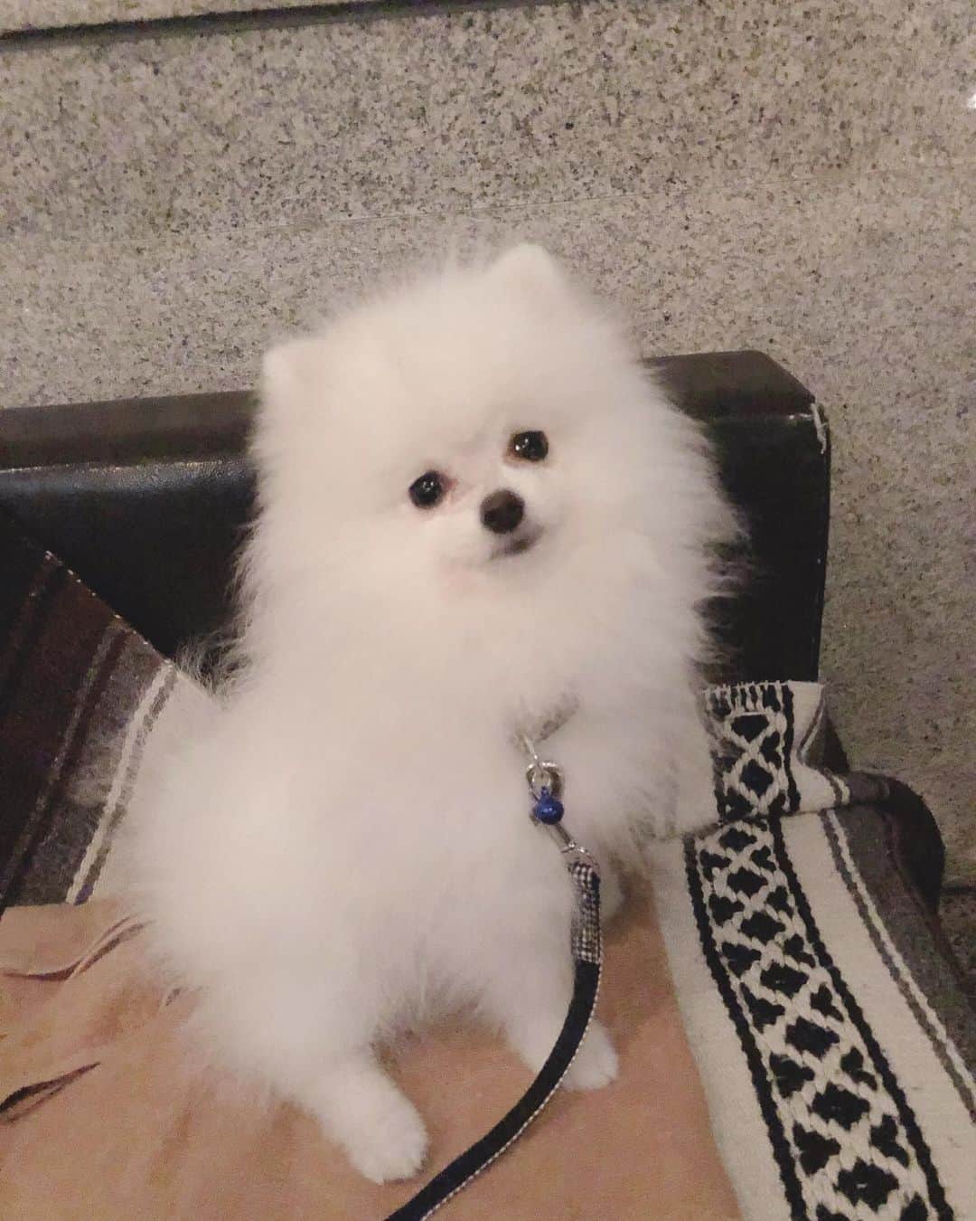 麻亜里のグルメインスタ