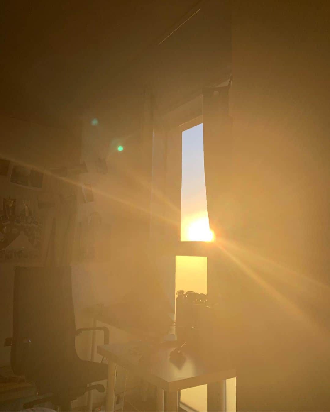 Diem、さんのインスタグラム写真 - (Diem、Instagram)「#아침햇살 . . 일어난게아니라 잘려고」9月17日 19時26分 - diem__