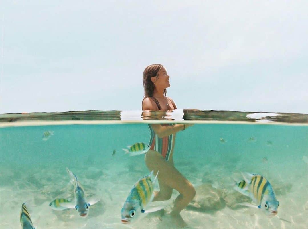 タイ国政府観光庁さんのインスタグラム写真 - (タイ国政府観光庁Instagram)「サワッディー・カー✨﻿ ﻿ 今週の #こんなタイ知らなかった は、クラビ沖合のホン島の一枚🏝﻿ ﻿ 熱帯魚が泳ぐ海の中を見事に写した素敵な写真ですね🐠✨﻿ ﻿ @ao.626さん、コップン・カー🙏﻿ ﻿ ・・・・・・・﻿ 今まで知らなかったタイの魅力を見つけたら、ハッシュタグ #こんなタイ知らなかった をつけて投稿して下さい！こちらでご紹介させて頂くことがあります。皆さんからの投稿をお待ちしています😊﻿ ﻿ #repost #タイ #クラビ #ホン島 #タイビーチ #絶景ビーチ #タイリゾート #リゾート #海外リゾート #こんなタイ知らなかった #タイを知りつくす #旅好きな人と繋がりたい #旅行好きな人と繋がりたい #海外旅行 #タビジョ #thailand #krabi #hongisland #thairesort #thaibeach #thaiisland #amazingthailand #thailandtravel #thailandtrip #thai #thaistagram #lovethailand」9月17日 19時34分 - amazingthailandjp