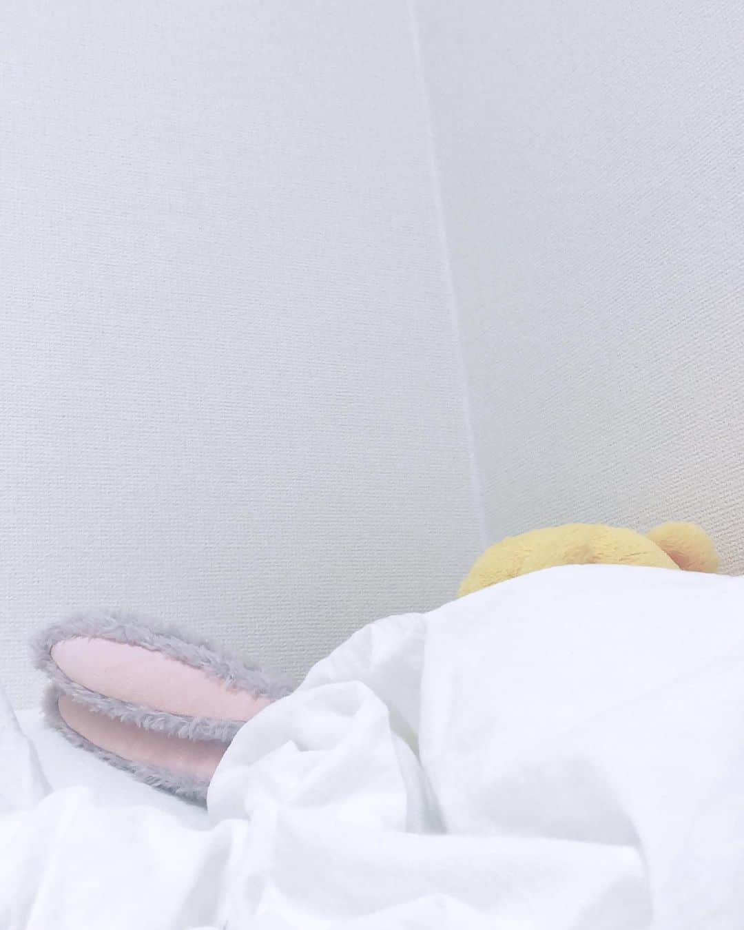 山田愛奈さんのインスタグラム写真 - (山田愛奈Instagram)「.  私のベットにいる 可愛いちょこん耳たまらん🥺💕 .  #どのふたりか #想像つくかもしれませんが  #🧸 #🐰」9月17日 19時35分 - aina_yama