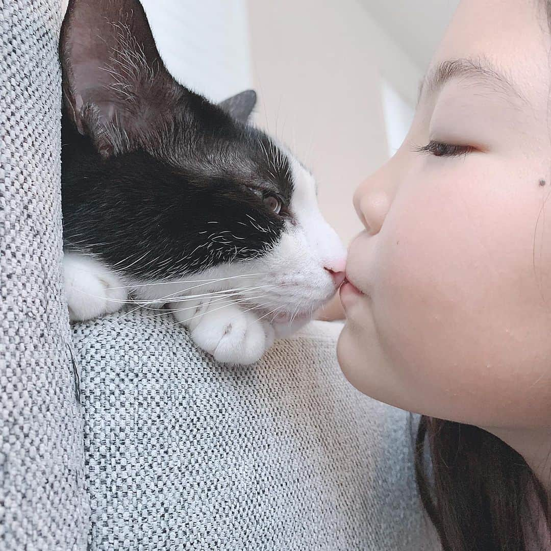 korokoronyaさんのインスタグラム写真 - (korokoronyaInstagram)「✵*∗ 17 Sep, 2019  ℒฺℴฺνℯฺ * レッスン送って、家戻って 弁当作って持って行って、 別の練習場所まで送る為移動、 また家戻って、 自分が急いでご飯←今ココ 少しふ〜ってしたらまたお迎え… … #魔の火曜日  このように 我が家の移動手段は全てチャリ😓 6年くらい電動チャリを酷使しているので、 こないだふとタイヤ見たら、 磨り減るレベルじゃなくてもう中が見えちゃっててヤバ！😱 よく考えたら一度も交換した事ないわ… と急いでホームセンターで交換お願いしたら 乗ってるメーカーのやつが在庫切れで 取り寄せだって言われ、待って、やっと入荷、 昨日ヤバイ後輪だけとりあえず先に(前輪分はまだ入荷してない と言われ。)中も全部交換してもらいました。 #魔の火曜日 に間に合って良かったよ…。 お前さん🚲頑張ってるもんな😭🙏🏻 今度からはちゃんとメンテナンスするよぅ🙏🏻😭 * #ごまとちびまめ」9月17日 19時43分 - korokoronya