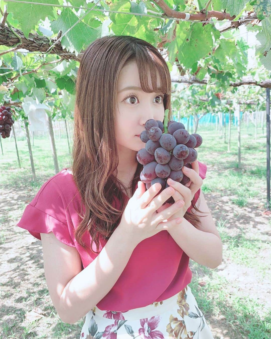 沢井里奈さんのインスタグラム写真 - (沢井里奈Instagram)「♡ . ぶどうは巨峰が一番好き🍇💕💕 . ぶどう狩りの時から めちゃめちゃいい匂いだた🥺❤️ . #grape #ootd #coordinate #fashion #instafashion #instagood #instagramjapan #japanesegirl #girls #팔로우 #코디 #오오티디 #ぶどう狩り #ぶどう #ぶどう園 #大府 #私服 #さわーおでかけ #沢井里奈」9月17日 20時02分 - sawairina