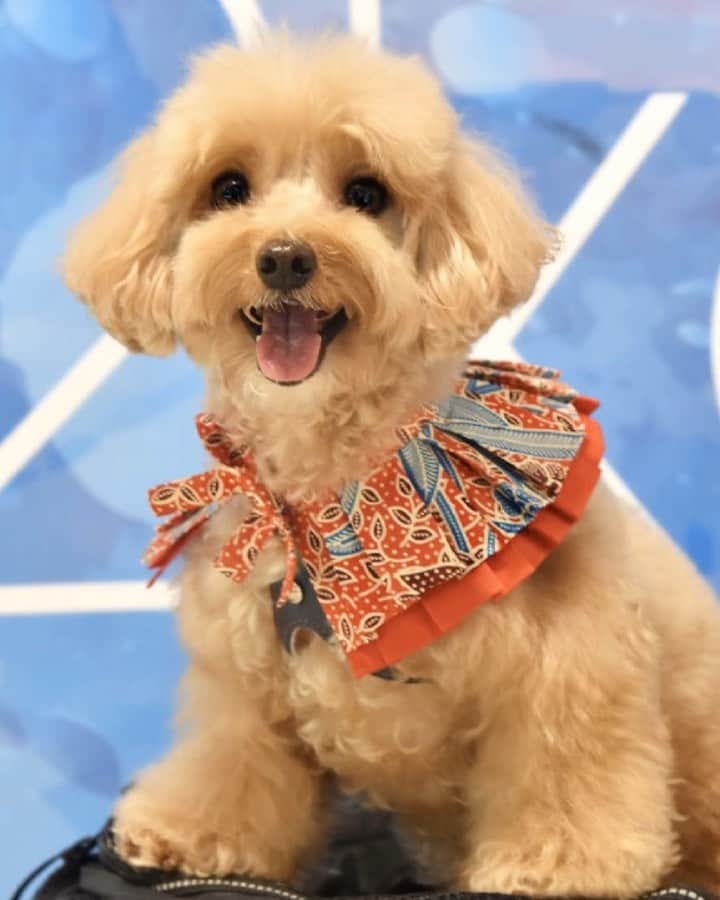 Truffle??松露?トリュフのインスタグラム