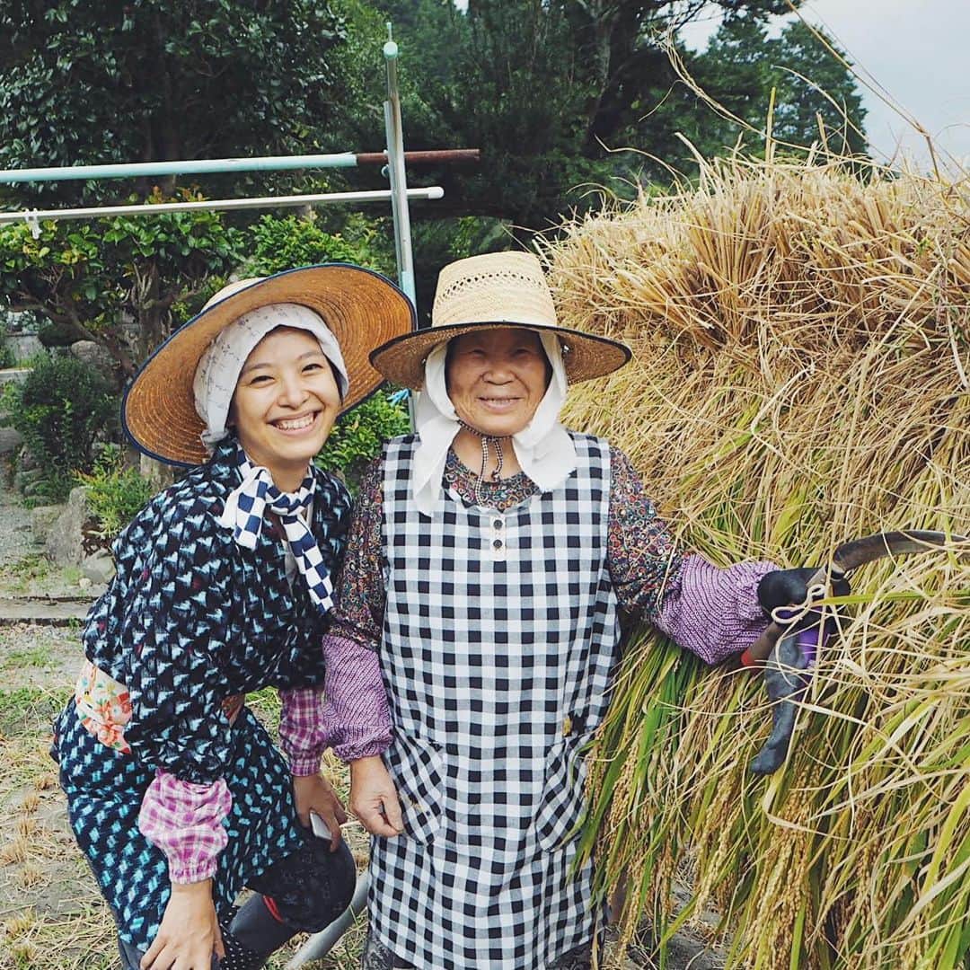 のインスタグラム：「稲刈りしましたー！  澤井おばあちゃんの 鎌を持って、サクサクと刈る姿が カッコいい！  私は一回でスパッと刈るのは けっこう難しかった。  みんなで手植えした稲を刈るのが 楽しくもあり、もったいないような、 終わりたくないような、不思議な体験でした。」