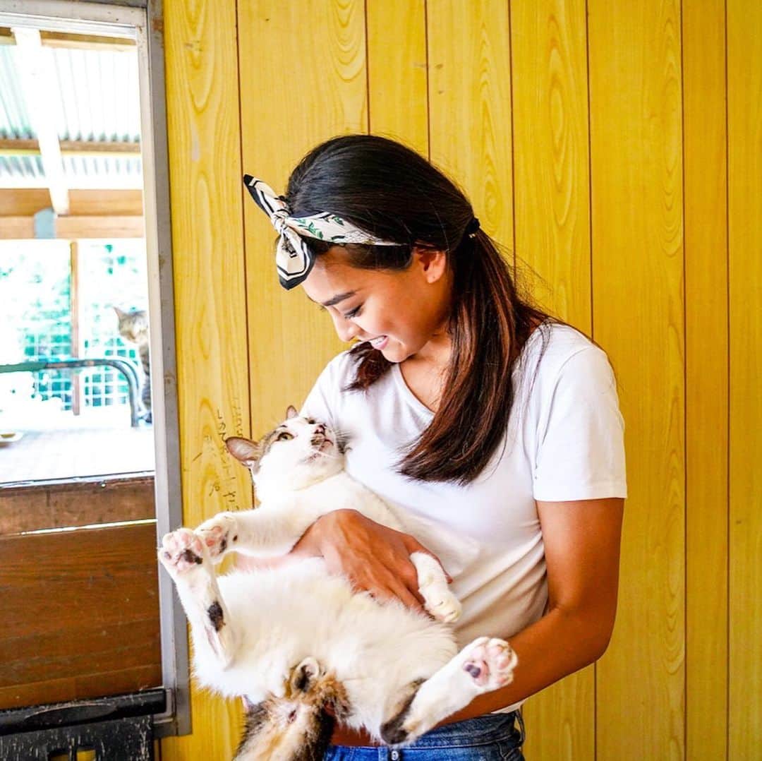 遊海 Yuumiさんのインスタグラム写真 - (遊海 YuumiInstagram)「My day at @hearttokushima ❤️ learning about animal rescue in Japan. Heart tokushima has 200 over dogs and 20 over cats that are looking for new home 🏡 if you are looking for your partner please check out their website. The animals there are well trained, kind and lovely. ハート徳島で日本での動物保護を学ばせていただきました。 200匹以上のワンちゃんと20匹以上の猫ちゃんがいます。 みんなちゃんとしつけをしていて、優しくて、愛らしい子達ばかりです。新しいお家を待ってる子たちばかりです。パートナーを探されてる方は、是非ハート徳島のウエブを見てください♡  #ハート徳島 #動物愛護 #愛 #動物愛護センター出身 #加藤遊海 #yuumiinrescue #tokushima #hearttokushima #animallove #animalrescue #cats #peace #animals #family #catlover #徳島」9月17日 21時29分 - yuumi_kato