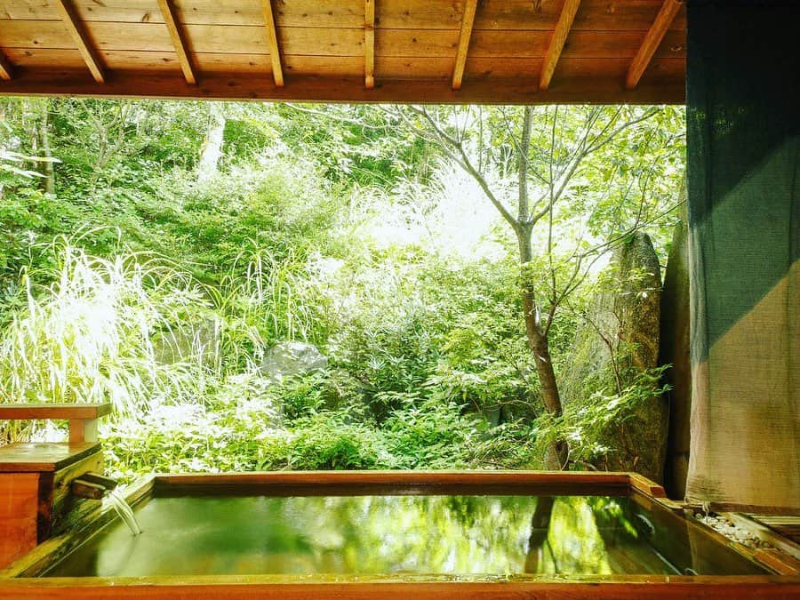 JAPAN TRIP 大人旅〜厳選の宿〜さんのインスタグラム写真 - (JAPAN TRIP 大人旅〜厳選の宿〜Instagram)「【JAPAN／RYOKAN】 #長野 #蓼科 の#たてしな藍 です。  #大人旅_厳選の宿 #大人旅jp #そうだ旅に出よう #旅行 #温泉宿 #露天風呂 #温泉 #旅館 #ホテル #大人旅 #女子旅 #親子旅 #国内旅行 #記念旅行 #旅フォト #旅行好きな人と繋がりたい #japan #japantrip #japantravel #trip #travel #onsen #ryokan #hotel #hotsprings #ig_japan #instajapan」9月17日 21時30分 - otonatabi_jpn