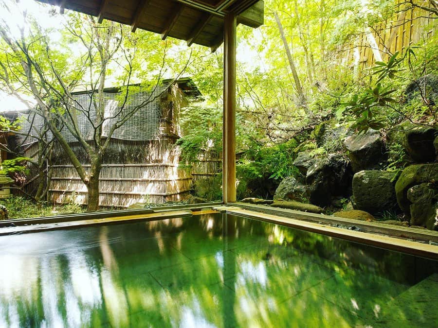 JAPAN TRIP 大人旅〜厳選の宿〜さんのインスタグラム写真 - (JAPAN TRIP 大人旅〜厳選の宿〜Instagram)「【JAPAN／RYOKAN】 #長野 #蓼科 の#たてしな藍 です。  #大人旅_厳選の宿 #大人旅jp #そうだ旅に出よう #旅行 #温泉宿 #露天風呂 #温泉 #旅館 #ホテル #大人旅 #女子旅 #親子旅 #国内旅行 #記念旅行 #旅フォト #旅行好きな人と繋がりたい #japan #japantrip #japantravel #trip #travel #onsen #ryokan #hotel #hotsprings #ig_japan #instajapan」9月17日 21時30分 - otonatabi_jpn