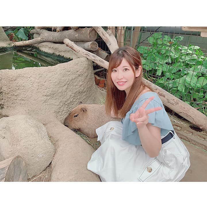 上村彩子さんのインスタグラム写真 - (上村彩子Instagram)「インスタでアップしてなかった写真🙌 . 神戸どうぶつ王国の動物達！！ 距離感すごく近いし、柵もなかったりしてとても自然な姿をみれた✨ 神戸いったらまた行きたいなと思う動物園💕 . 鳥にご飯をあげたり ラクダに乗ったりしたよ！！ . ラクダに乗れてテンションハイ😍 楽しかったなり❤️」9月17日 21時39分 - ayako_uem