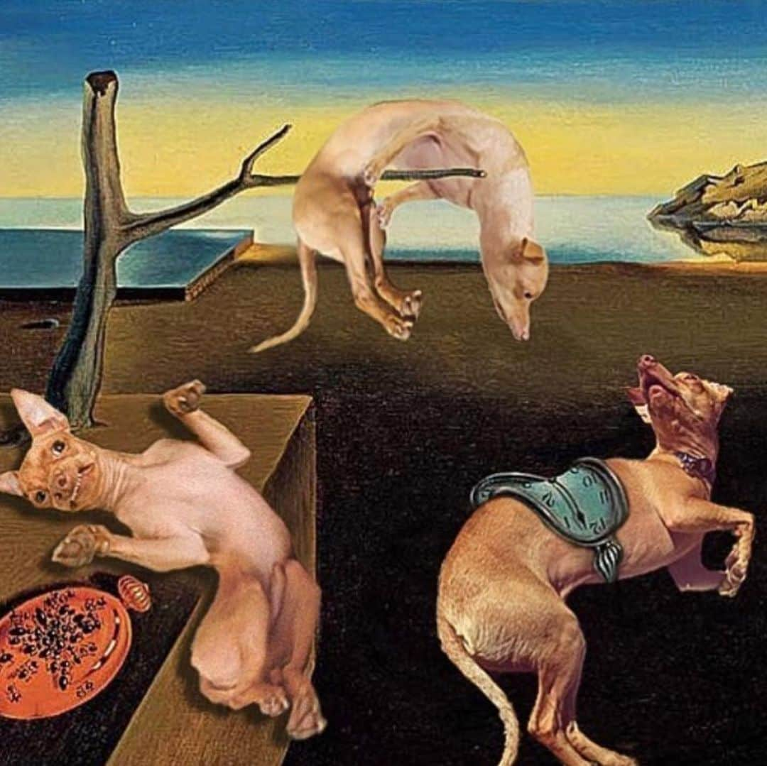 Tuna {breed:chiweenie} さんのインスタグラム写真 - (Tuna {breed:chiweenie} Instagram)「Inspired by our recent outdoor visit to Musée de Louvre, I decided to post some classic #tunainterpretations masterpieces for #tunartuesdays since dogs (and probably babies for that matter) aren’t allowed in the museum. Recreated by the wildly talented @artjamiemorris, @barkistry, @muttsterpieces, another by @artjamiemorris, and the last one is an actual sculpture (not of Tuna but of his doppelgänger) at le Louvre, spotted by @jendale_ Show these accounts some ❤️. They’re amazing!」9月18日 7時47分 - tunameltsmyheart