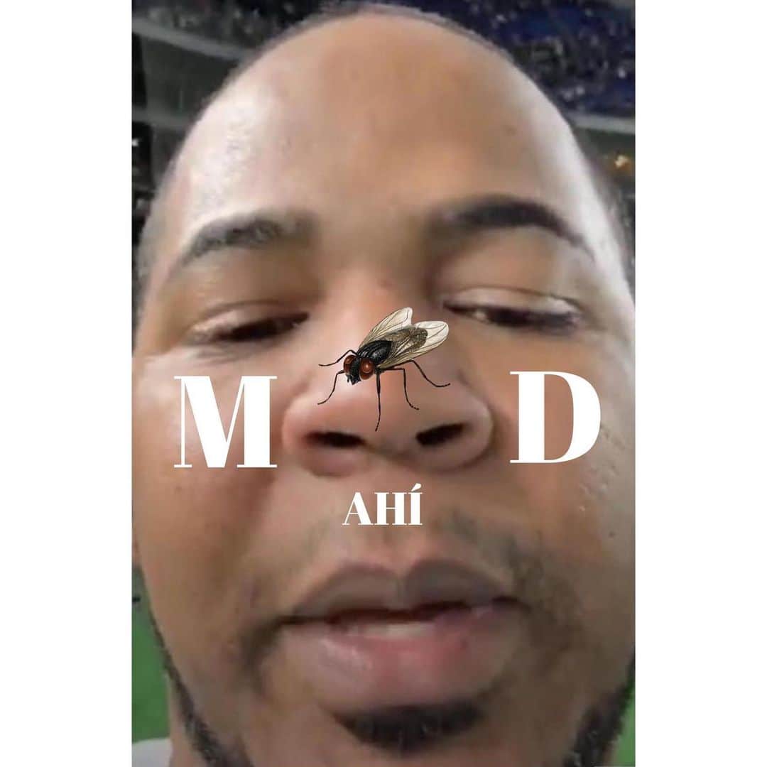 ホセ・レイエスのインスタグラム：「MOOD🦟」