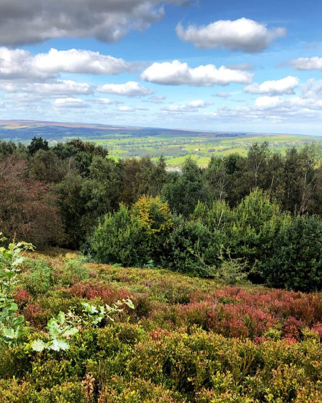 ヘレン・スケルトンさんのインスタグラム写真 - (ヘレン・スケルトンInstagram)「Autumn ..... creeping in. 👌#Yorkshire #freshair #getoutside #feelslikesummer #headspace」9月18日 0時45分 - helenskelton