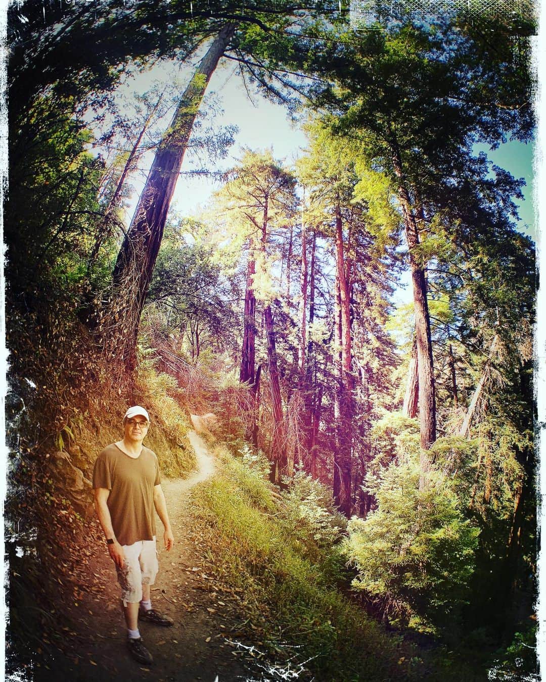ロブ・モローのインスタグラム：「Young @jontenney on the trail #bigsur #redwoods」