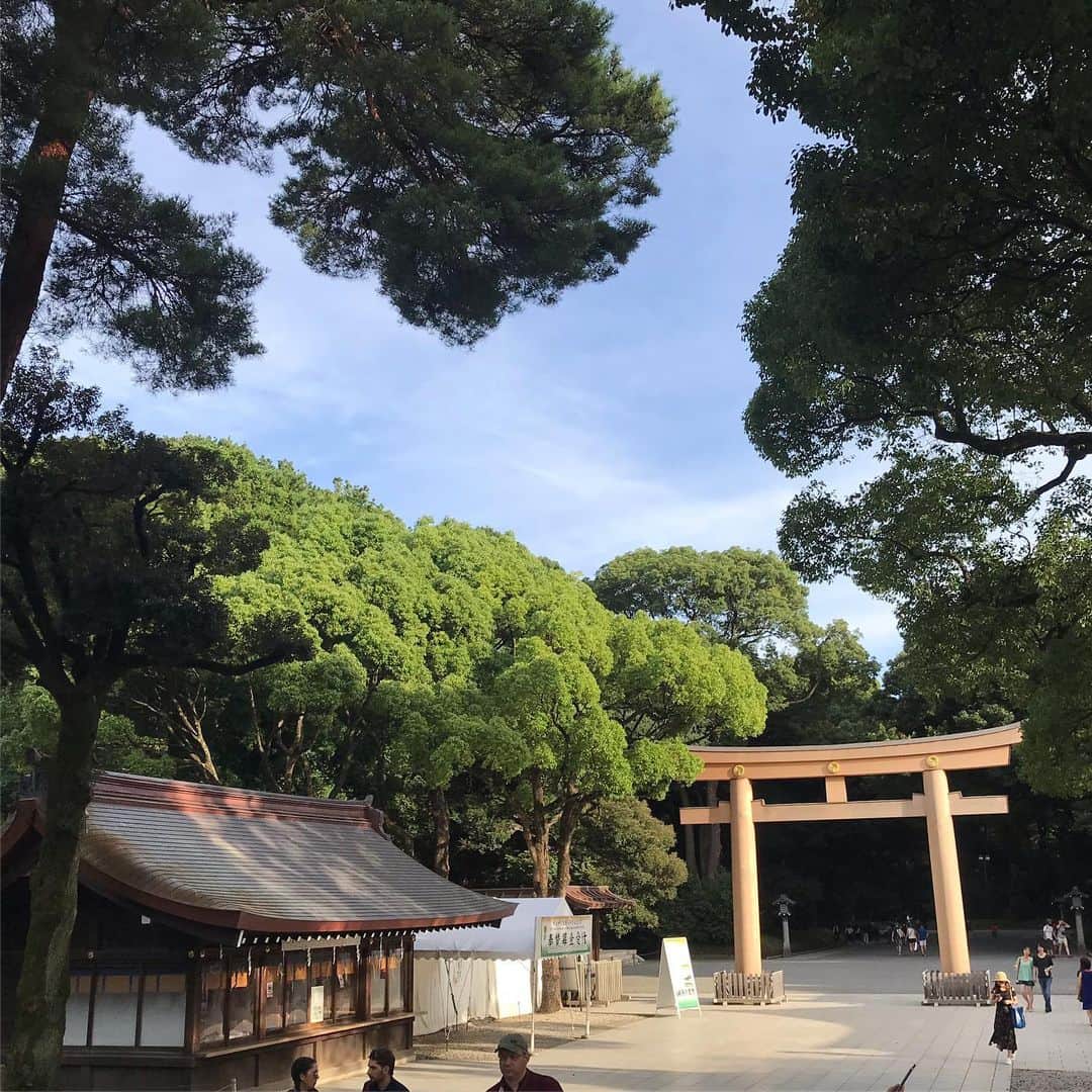 ヤン・ホイヤーのインスタグラム：「#Anzeige Almost one month has passed since the World Championship in Japan and I had some time to reflect on everything that happened. The bottom line is: my Olympic dream is still alive and I’ll work hard to qualify in November!  The last few weeks my #NEUWÄRTS has mainly been about rehabbing my shoulder that I injured at the Chamonix World Cup about two months ago. This week I had my first pain free speed session again and I can finally add more and more exercises to my training! 😎💪 I’m not 100% yet and have to make sure I’m not skipping any steps.... but I’m really happy with the progress I recently made😎 @dkb.de」
