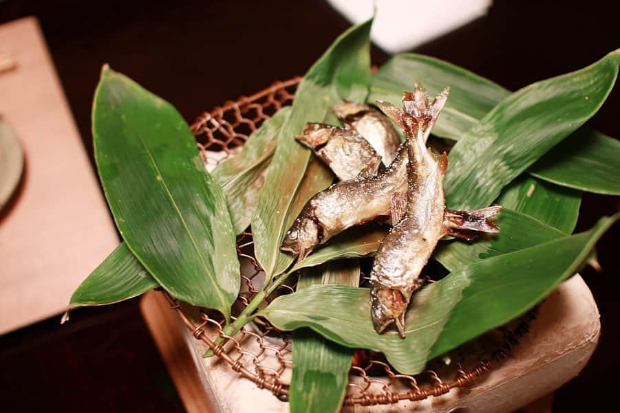 樋口智恵子のグルメインスタ