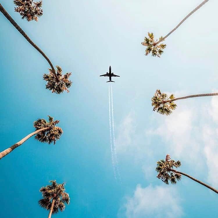 シービーズのインスタグラム：「Tuesday is looking up 📸: @kanecandrade」