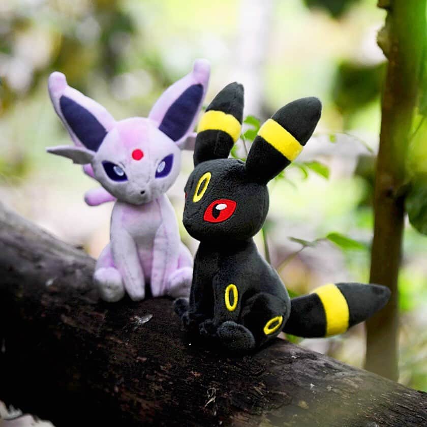 Pokémonさんのインスタグラム写真 - (PokémonInstagram)「From Chikorita to Celebi, you can now collect your favorites from the Johto region! (Yes, that includes 28 shapes of Unown. 👀) US Trainers: The next generation of Sitting Cuties is waiting for you! Tap the link in our bio to see them all in the #PokemonCenter!」9月18日 4時24分 - pokemon