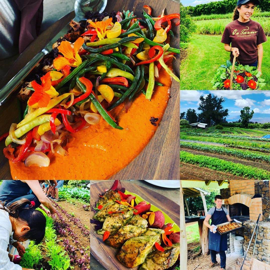 齊藤美絵さんのインスタグラム写真 - (齊藤美絵Instagram)「What an amazing experience at O’o Farm @oofarm_maui . Great farm, beautiful and tasty lunch. Mahalo🌺  Thank you so much for telling me about this farm. @wednesdayfarmersmarketmaui  #maui #マウイ #liveontheearth #地球に寄り添った暮らし方 #childcare #育児  #3yearsold #mauinokaoi  #Hawaii #aloha #oofarm #oofarms #kula #farmtour #amazinglunch #healtheearth #healtheworld #healmyself #farming #フードマエストロ #foodmaestro  #ナチュラルビューティスタイリスト #ツタエルヒト。」9月18日 4時46分 - saitomie