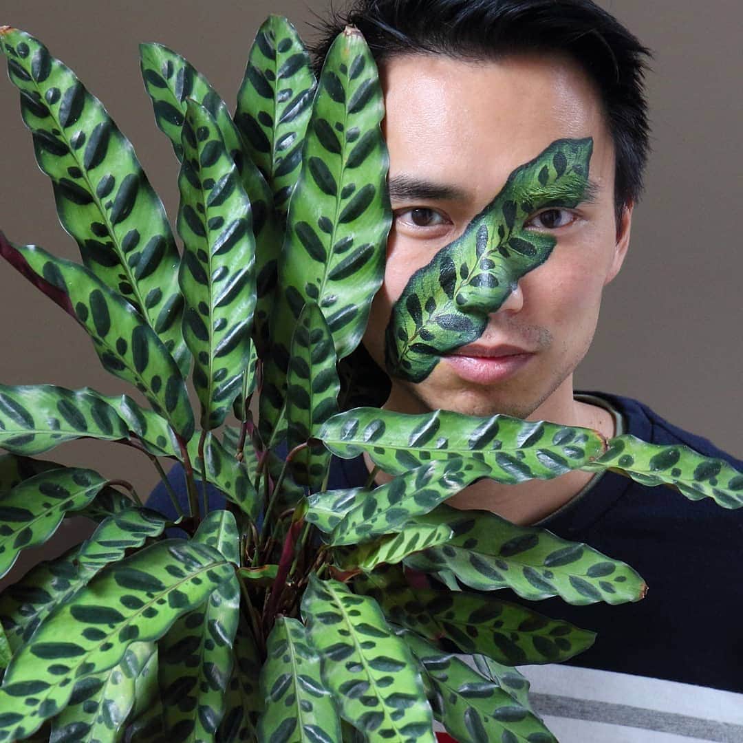 YouTubeさんのインスタグラム写真 - (YouTubeInstagram)「#CreatorOnTheRise @houseplantjournal dives into the amazing world of indoor plants — from light to soil he covers it all. 🌿 Link in bio to check out his channel.」9月18日 5時38分 - youtube