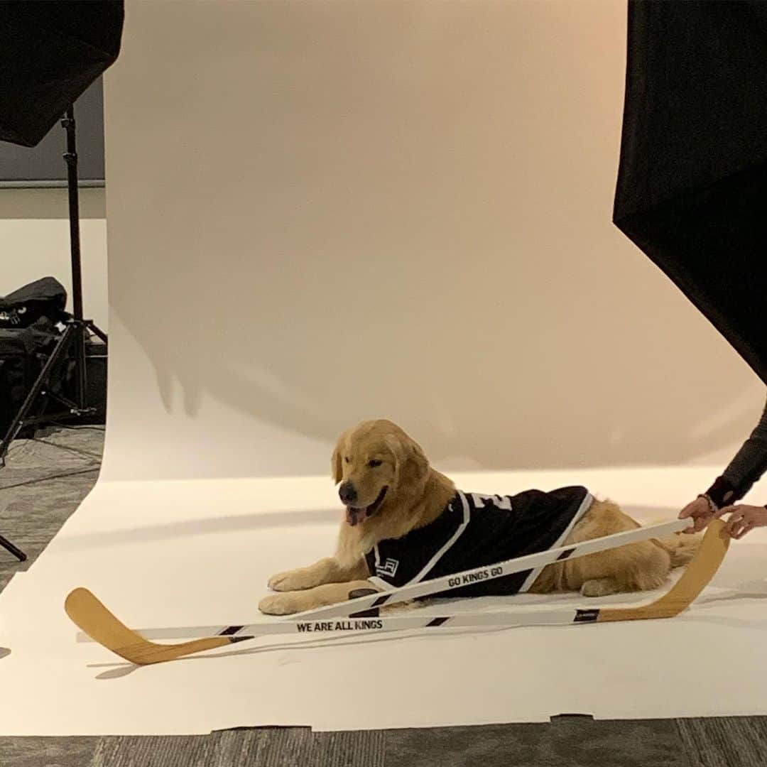 エリン・アンドリューズさんのインスタグラム写真 - (エリン・アンドリューズInstagram)「Can’t handle @stolly28 #HowHow @lakings #model #notaslasher #sexybeast」9月18日 5時51分 - erinandrews