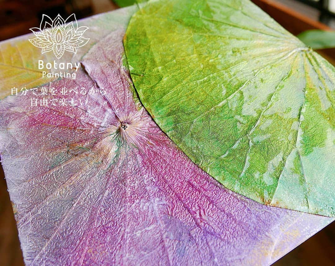 botanypaintingさんのインスタグラム写真 - (botanypaintingInstagram)「* ＼自分で貼って、塗るから楽しい／ 蓮とインド菩提樹のボタニーペイント  ワークショップ参加者様の作品。  瑞々しさをたたえた グリーンの蓮の葉と 上品な面持ちの パープルの蓮の葉とのコントラストが美しい ボタニーペインティングです。  ー作者の方へ 掲載にご協力いただき ありがとうございます。  ー*ー*ー*ー*ー*ー*ー ワークショップと通信講座 認定講師の資格も取れる ボタニーペインティング 通信講座14期生募集中 ー*ー*ー*ー*ー*ー*ー  全国の通信講座の受講者様と ワークショップ参加の方より 沢山の応援メッセージを頂いております。 ありがとうございます！  Botany Painting on  Bamboo Basket Making Workshop  各地でのワークショップ お申し込み、好評受付中です。  金沢 9月21日.土 長野 9月22日.日 仙台 9月28日.土 奈良/une table 10月7日.月 香川/高松 10月12日.土 福岡 10月13日.日 熊本 10月14日.月祝 東京 10月22日.火祝 秋田 10月26日.土 青森/弘前 10月27日.日 名古屋 10月29日.火 東京 11月2日.土 横浜 11月3日.日 岡山 11月9日.土 高知 11月10日.日 大阪 11月16日.土 名古屋 11月17日.日 広島 11月23日.土祝 神戸 11月24日.日  自分で貼れるから楽しい！ 《スケジュールと詳細はこちら》 @botanypainting * 株式会社アントレサンフラッペ 411-0016 静岡県三島市塚原新田24-3 デザイナー　杉本光俊  ーーーーーーー  LIFE is ART Botany Painting  #ボタニーペインティング #蓮 #ハス #インド菩提樹 #ロータス #ロータスリーフ #菩提樹 #アート #通信講座 #学びの時間 #ワークショップ #天然植物 #インテリア #蓮の葉 #ボタニカル #アントレサンフラッペ #茶道 #民芸 #蓮の葉にペイント #蓮の葉を使ったワークショップ #個性が活きる #瑞々しい #グリーン #上品 #パープル #botanypainting #lotus #linden #botanical #lifeisart」9月18日 6時00分 - botanypainting