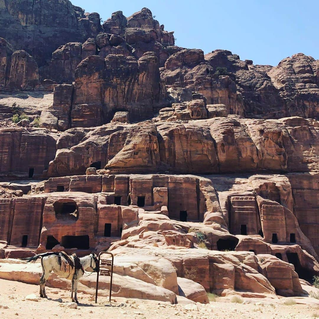 アシュトン・カッチャーのインスタグラム：「Life always has something hiding around the corner. Jordan 🇯🇴 is a masterpiece.」