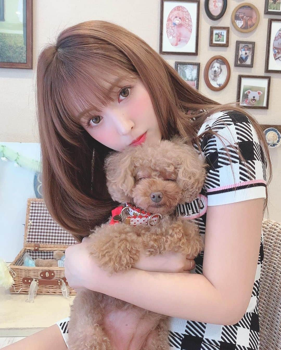 三上悠亜さんのインスタグラム写真 - (三上悠亜Instagram)「🐶」9月18日 17時51分 - yua_mikami