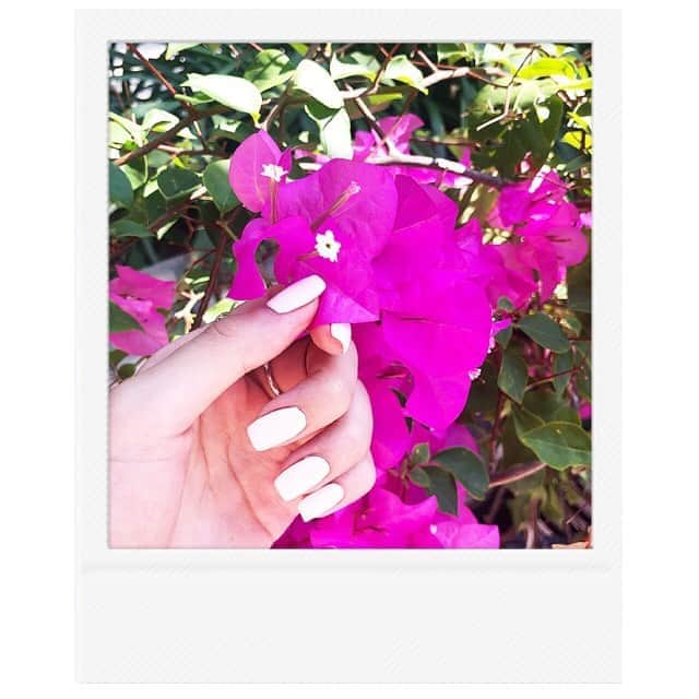 古畑星夏さんのインスタグラム写真 - (古畑星夏Instagram)「⠀ new nail🌺 #nail#today」9月18日 16時44分 - starandsummer